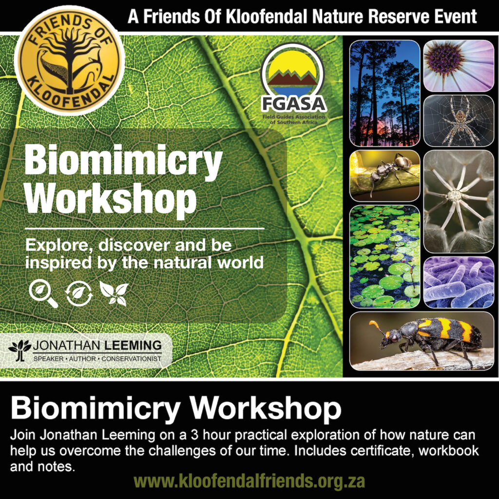 Biomimicry Workshop Friends Of Kloofendal